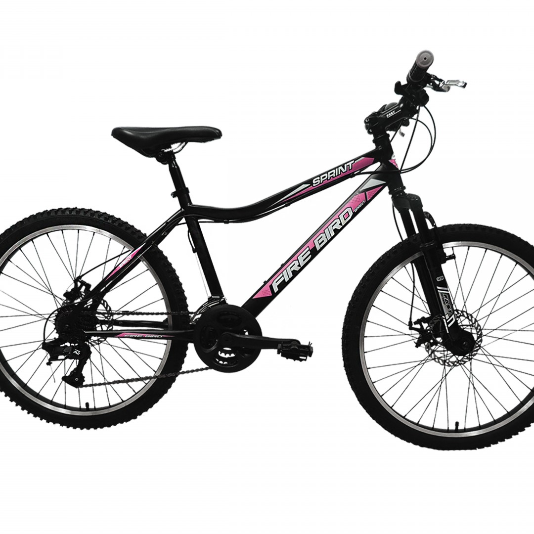 bicicleta-mtb-rod24-21v-ltwoo-acero-fdisco-susp-del-dama